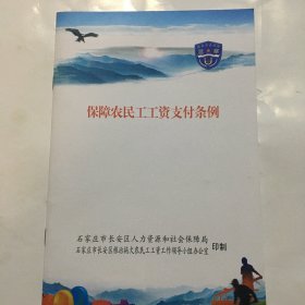 保障农民工工资支付条例 石家庄