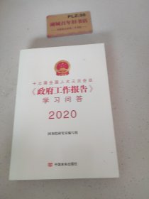 十三届全国人大三次会议《政府工作报告》学习问答T1381