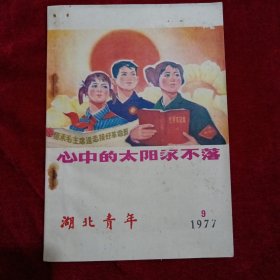 湖北青年（1977年，第九期）