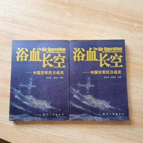 浴血长空——中国空军抗日战史