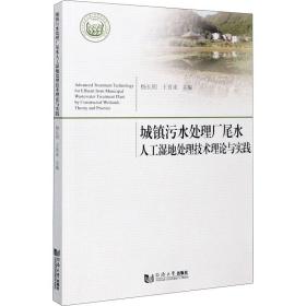 正版 城镇污水处理厂尾水人工湿地处理技术理论与实践 杨长明 9787560889016