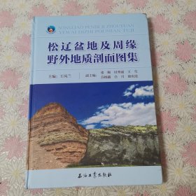松辽盆地及周缘野外地质剖面图集(精)8开