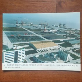 1994年，新建成的上海外高桥港口（尺寸28*21厘米）