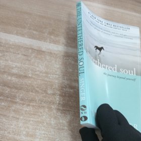 The Untethered Soul：The Journey Beyond Yourself