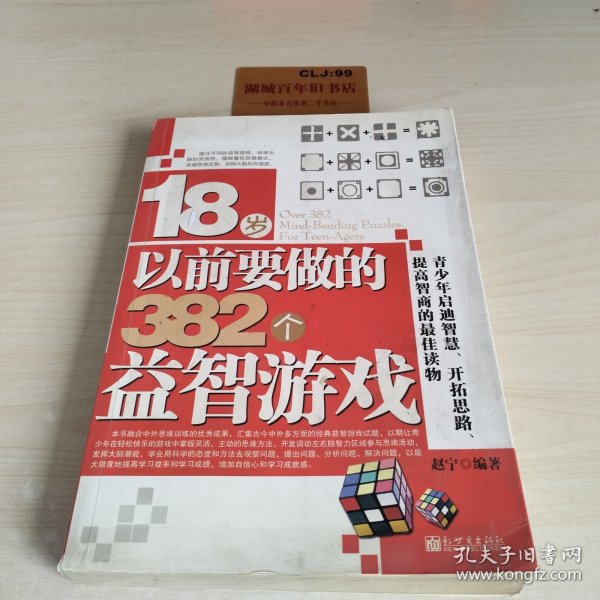 18岁以前要做的382个益智游戏