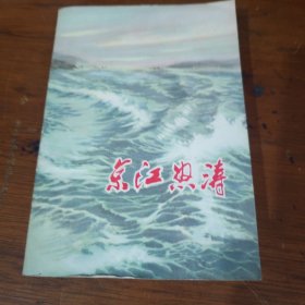 京江怒涛——江苏民兵革命斗争故事选