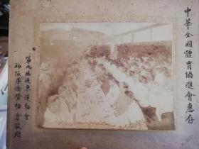 1930年远东运动会