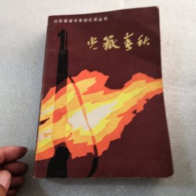 山东苹命斗争回忆录丛书,光嶽春秋共631页／品相如图