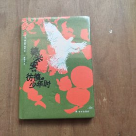 德米安：彷徨少年时 全新