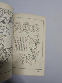 花卉画谱 品相自然旧 竖版 非馆藏无涂画 1963年一版一印 精品近85品