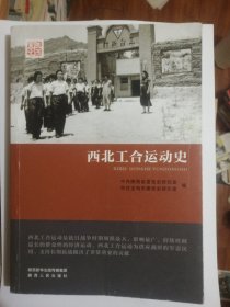 西北工合运动史