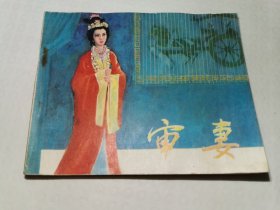 审妻