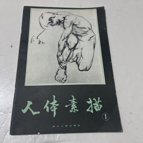 人体素描 第一集