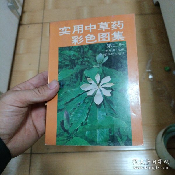 实用中草药彩色图集（2）