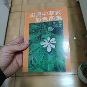 实用中草药彩色图集（2）