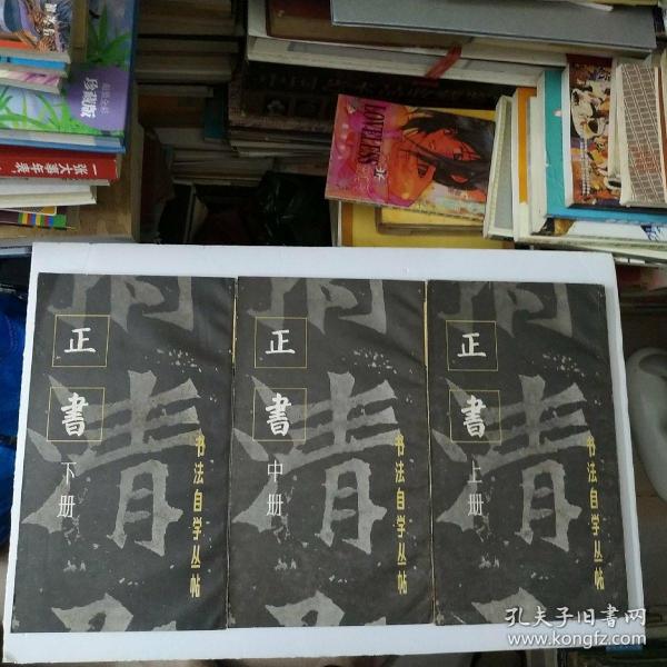正书上中下册(共3本)