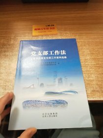 党支部工作北京市党支部工作案例选编