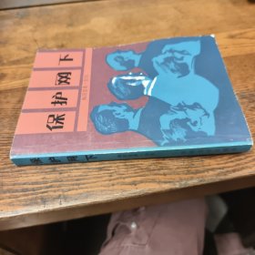 保护网下