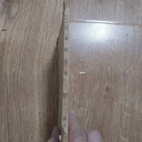《日本的陆军》