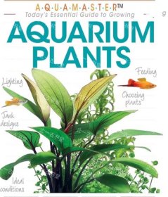 价可议 Aquarium Plants (Aquamaster) nmwxhwxh