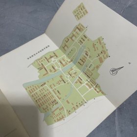 华东师范大学（1981-1982）