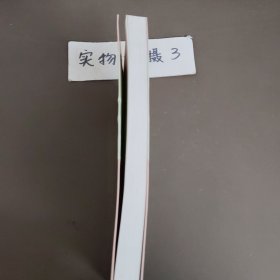 欧美畅销推理罪案小说：最危险的人