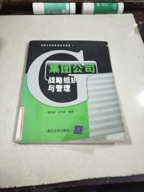 集團(tuán)公司戰(zhàn)略組織與管理