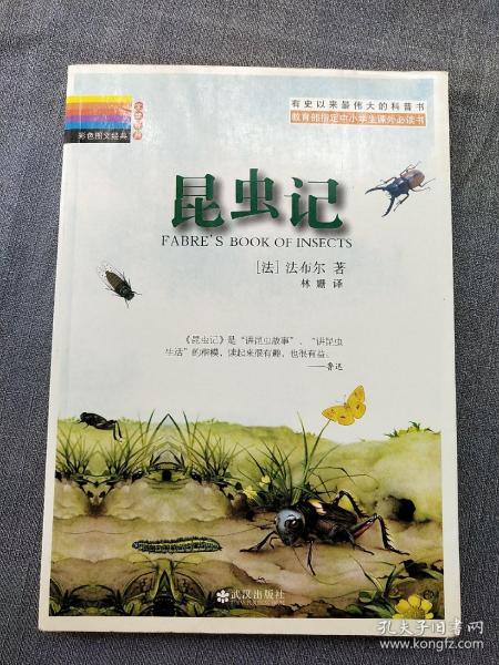 彩色图文经典：昆虫记