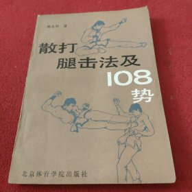 散打腿击法及108势