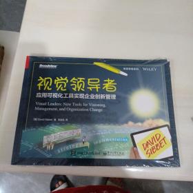 视觉领导者：应用可视化工具实现企业创新管理