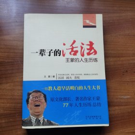 一辈子的活法：王蒙的人生历练
