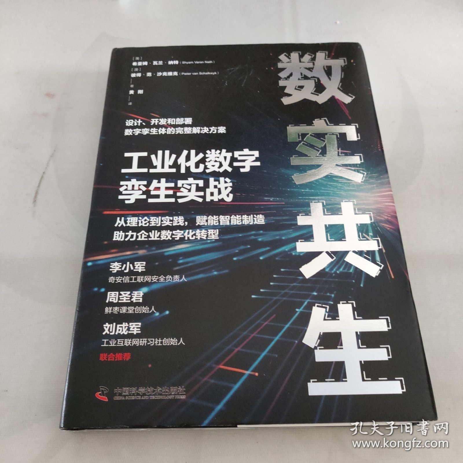 数实共生：工业化数字孪生实战