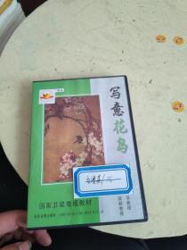 学习中国画：写意花鸟 3 DVD