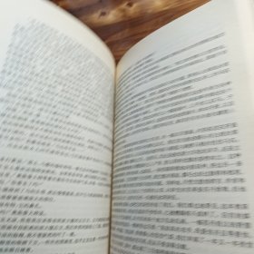 我的名字叫红