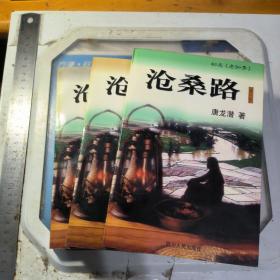 沧桑路 1-3 作者签