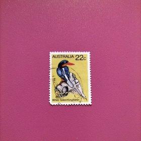 澳大利亚信销邮票 1980年 鸟类第3组-白尾翠鸟 面值22c（ 库存 1 ）
