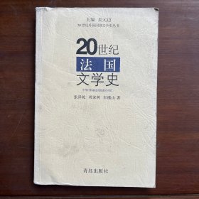 20世纪外国国别文学史丛书：20世纪法国文学史