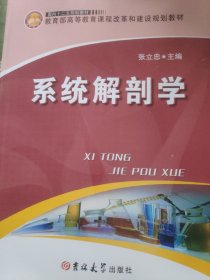 系统解剖学