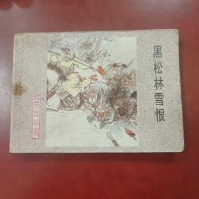 黑松林雪恨（河北杨家将故事）