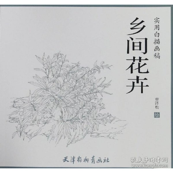 乡间花卉/实用白描画稿