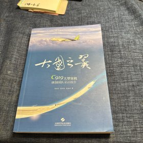 大国之翼