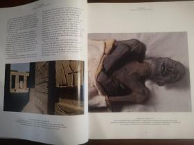 The Royal Tombs of Egypt: The Art of Thebes Revealed 埃及底比斯的皇家陵墓 壁画和艺术