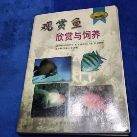 观赏鱼欣赏与饲养——闲暇丛书