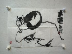 朱新建先生平尺小品“猫”尺寸50*34cm