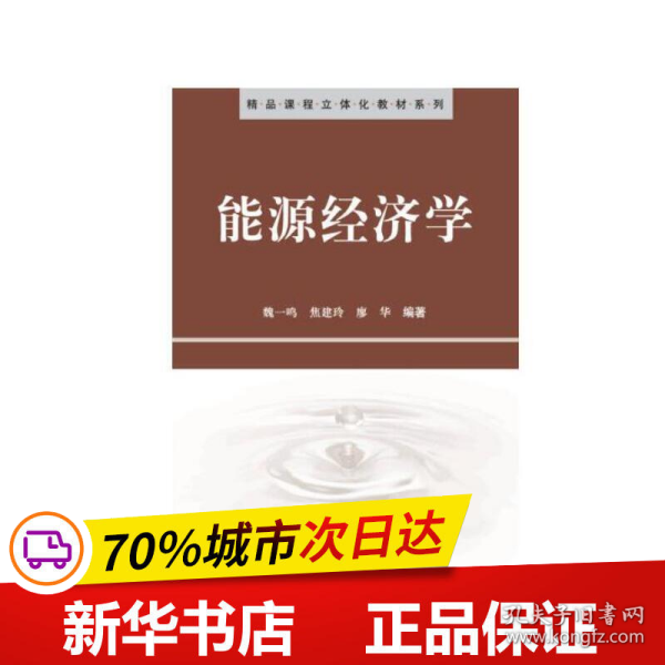 精品课程立体化教材系列：能源经济学