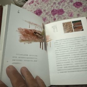 关于巧克力的一切