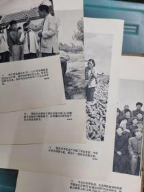 新华社展览照片 原封套 人民武装的两面红旗-河北郭庄河南留庄民兵营 一套24张全 1964年版