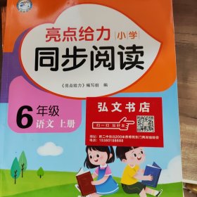 亮点给力小学同步阅读6年级语文上册