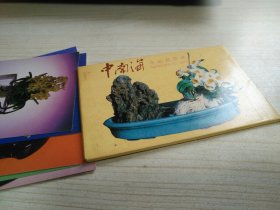 中南海水仙花艺术明信片 9枚