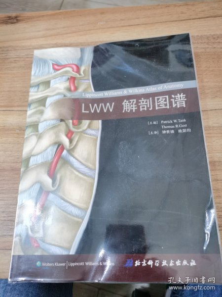 LWW解剖图谱